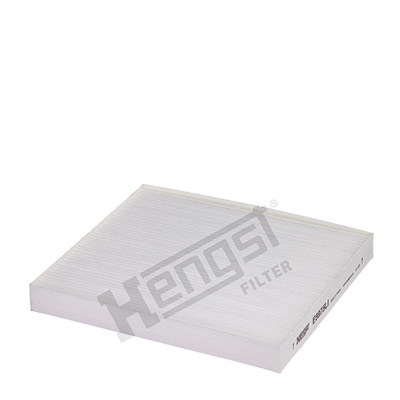 Raitisilmasuodatin HENGST FILTER E5975LI