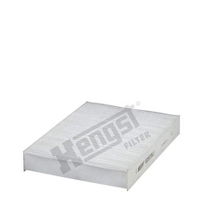 Raitisilmasuodatin HENGST FILTER E2975LI