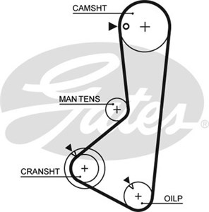 Hammashihna, hyundai,mitsubishi, 24312-32610, 24312-32620, 24312-32630, MD068173, MD098492, MD110709, MD140229