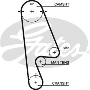 Hammashihna, honda accord v, accord vi, accord coupé vi, accord hatchback vi, odyssey, odyssey minibus, minivan, shuttle, 06141-P0A-305