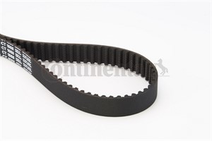 Hammashihna, audi,seat,skoda,vw, 06D109119B, 06D109119D