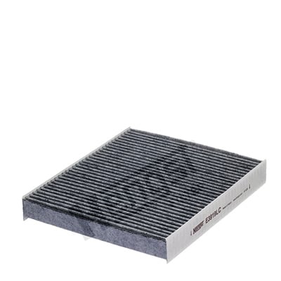 Raitisilmasuodatin HENGST FILTER E3919LC