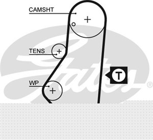 Hammashihna, citroën,fiat,lancia,peugeot, 0816.48, 0816.60, 0816.62, 0816.71, 081648, 081660, 081662, 081671, 71739922, 95639605, 960585