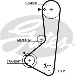 Hammashihna, mitsubishi l 300 / delica buss ii, l 300 / delica skåp ii, lancer i, lancer station wagon i, MD009277, MD009666, MD009667,