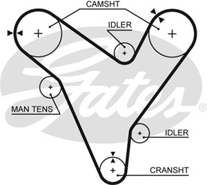 Hammashihna, ford usa probe ii, mazda 323 f v, 626 hatchback iv, mx-3, mx-6, xedos 6, xedos 9, 3396756, F32Z6268B, KL0112205, KL01-12-20
