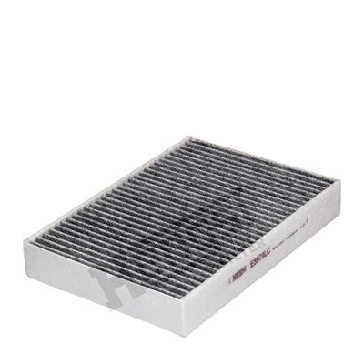 Raitisilmasuodatin HENGST FILTER E5979LC