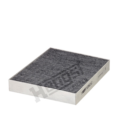 Raitisilmasuodatin HENGST FILTER E2962LC