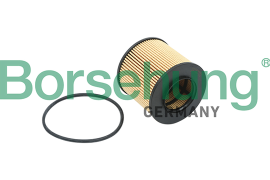 Öljynsuodatin Borsehung B12821