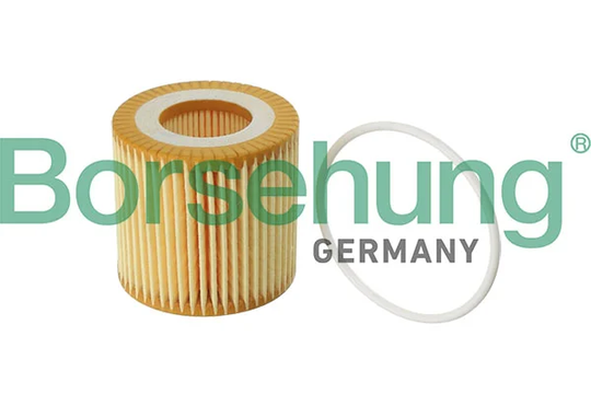 Öljynsuodatin Borsehung B12219
