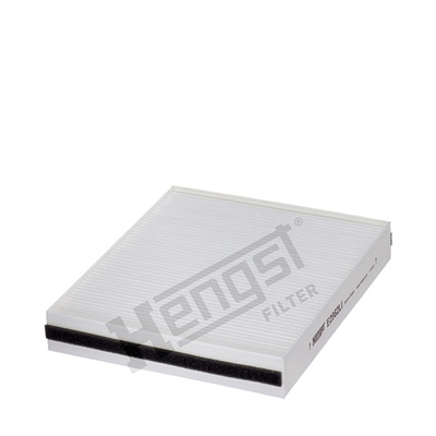 Raitisilmasuodatin HENGST FILTER E2962LI
