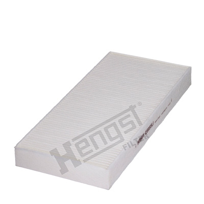 Raitisilmasuodatin HENGST FILTER E6955LI