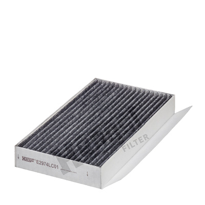Raitisilmasuodatin HENGST FILTER E2974LC01