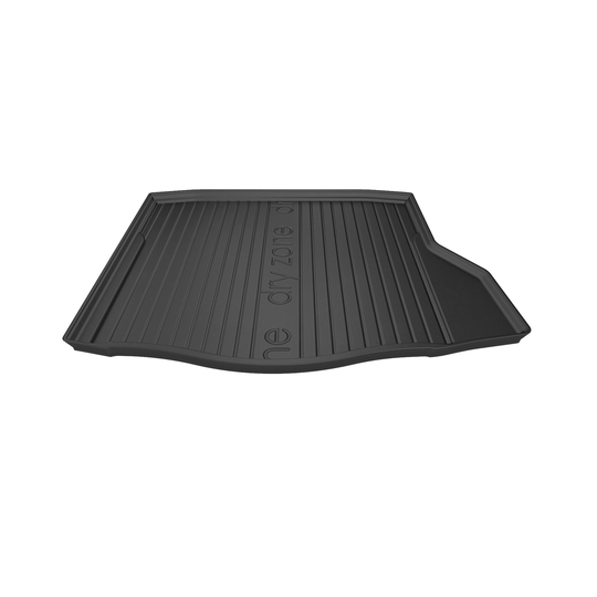 Tavaratilan matto FROGUM DryZone DZ549734 MB CLA C117