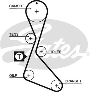 Hammashihna, renault,volvo, 3343720, 7700725577, 7700741506