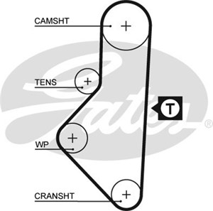Hammashihna, citroën,peugeot, 0816.24, 0816.29, 0816.67, 081624, 081629, 081667, 91512961, 91517722, 96188278
